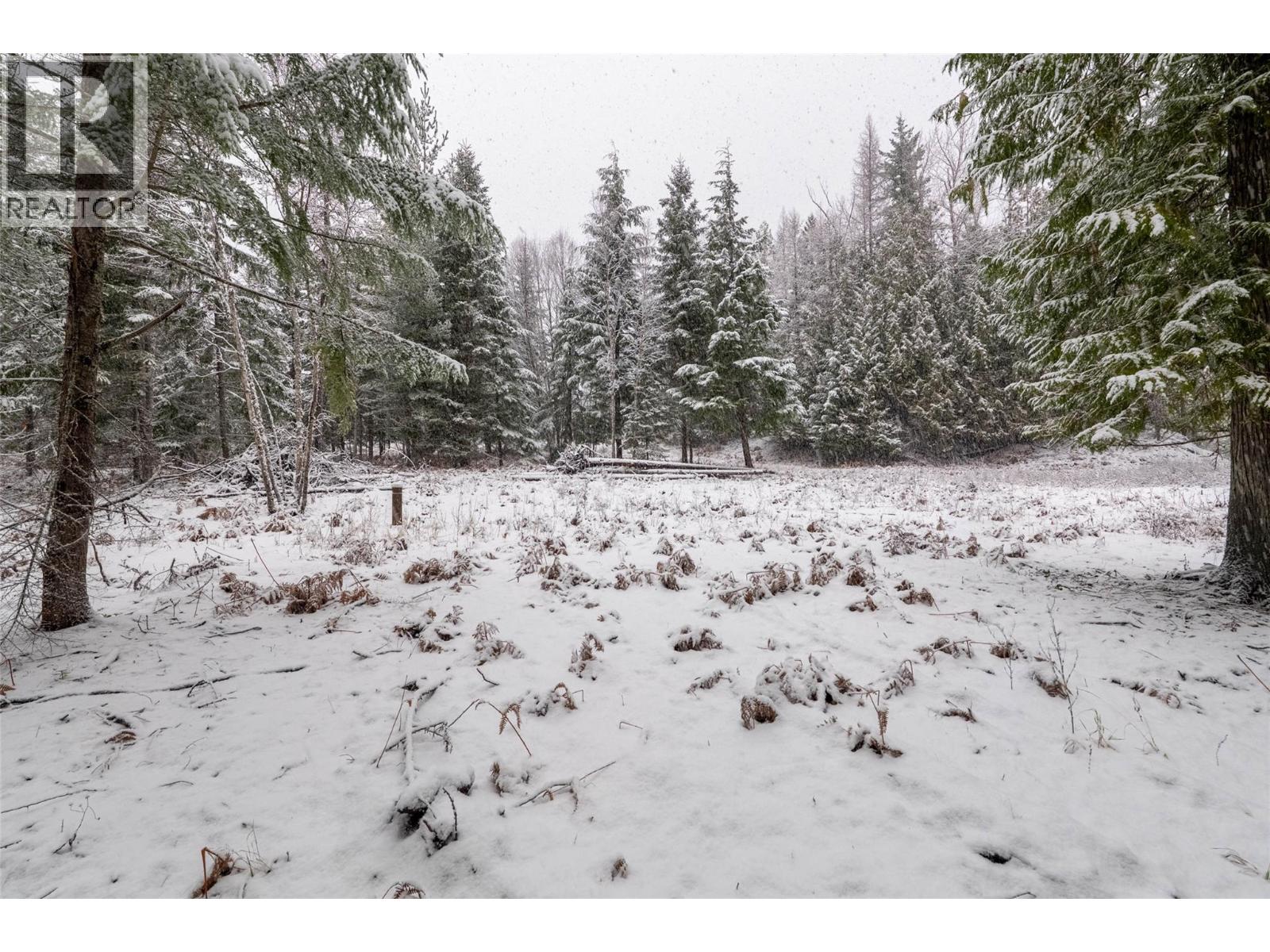 Lot A Meadow Creek Road Lot# Epp 14822, Meadow Creek, British Columbia  V0G 1N0 - Photo 14 - 10372218