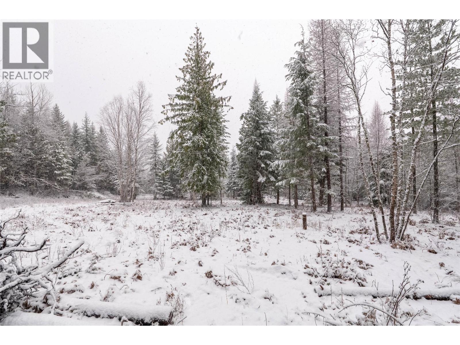 Lot A Meadow Creek Road Lot# Epp 14822, Meadow Creek, British Columbia  V0G 1N0 - Photo 15 - 10372218