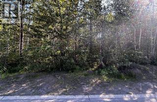 160 Murray Drive, tumbler ridge, British Columbia