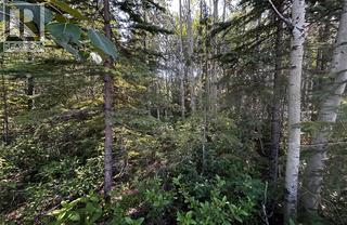 160 Murray Drive, Tumbler Ridge, British Columbia  V0C 2W0 - Photo 2 - 10372301