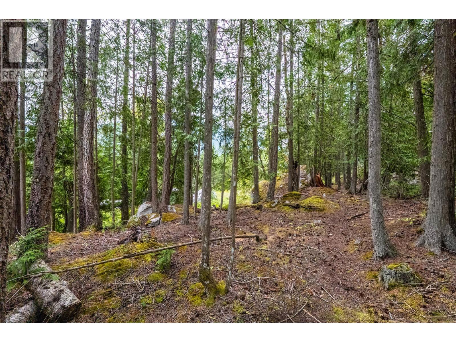 183-191 Kootenay Lake Road, Procter, British Columbia  V1L 0B6 - Photo 13 - 10359768