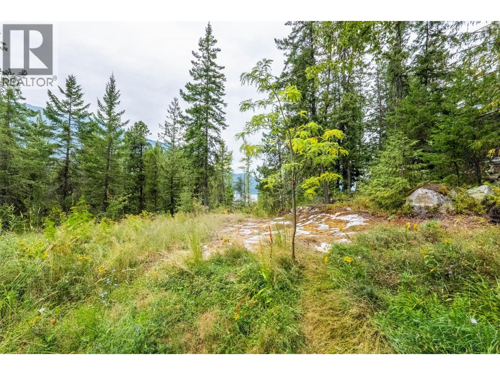 183-191 Kootenay Lake Road, Procter, British Columbia  V1L 0B6 - Photo 15 - 10359768