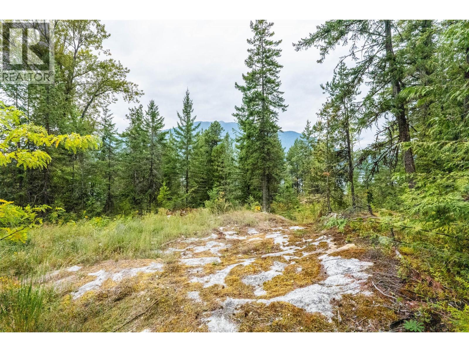 183-191 Kootenay Lake Road, Procter, British Columbia  V1L 0B6 - Photo 16 - 10359768