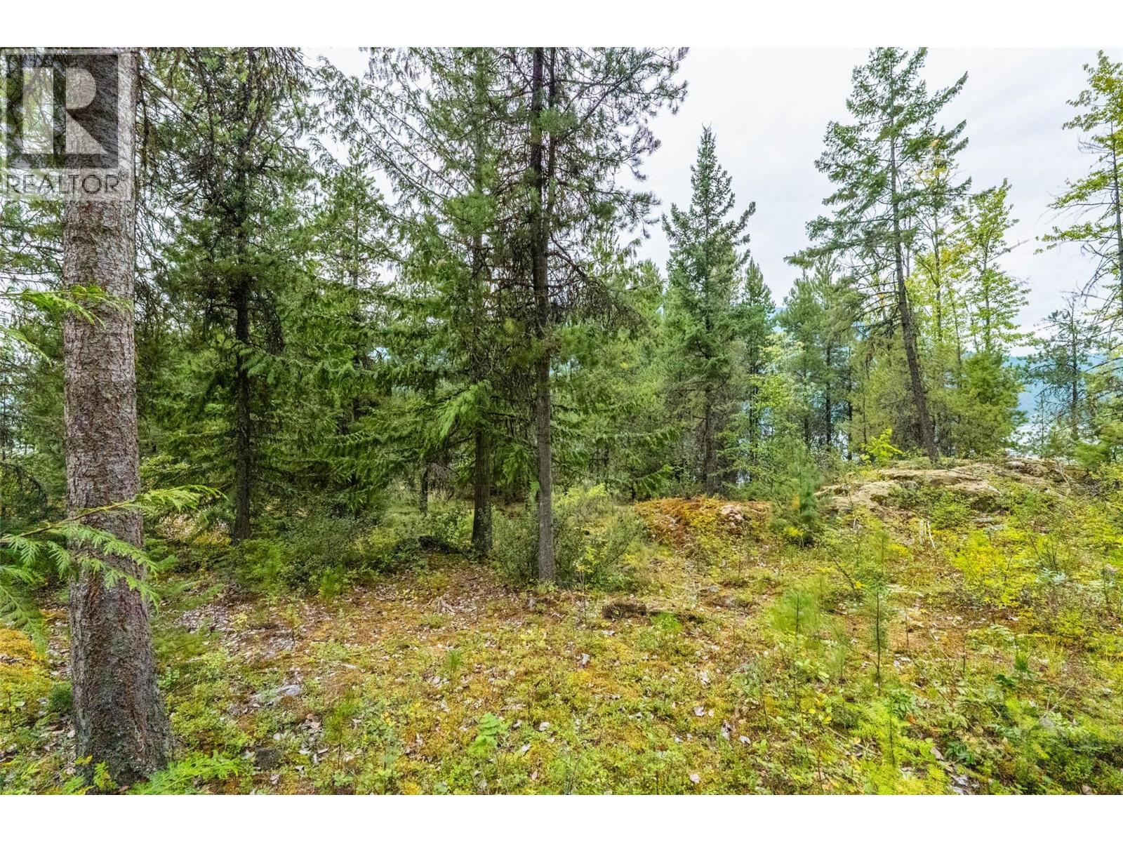 183-191 Kootenay Lake Road, Procter, British Columbia  V1L 0B6 - Photo 17 - 10359768