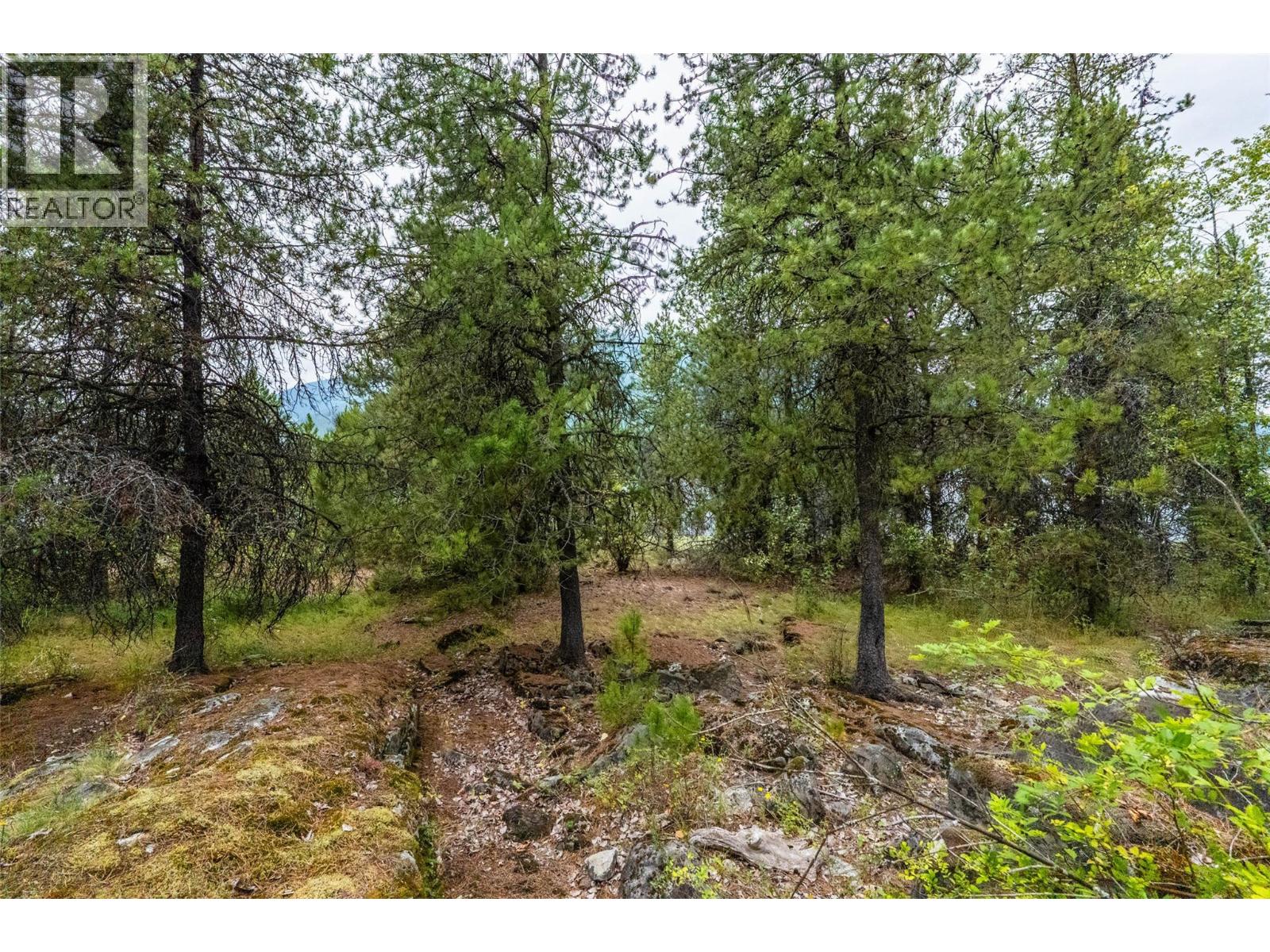 183-191 Kootenay Lake Road, Procter, British Columbia  V1L 0B6 - Photo 18 - 10359768