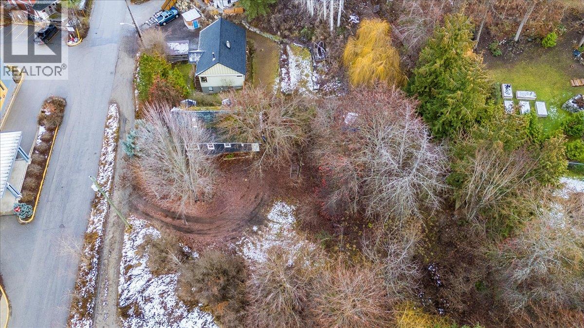 16 View Street, Nelson, British Columbia  V1L 2V2 - Photo 37 - 10371623