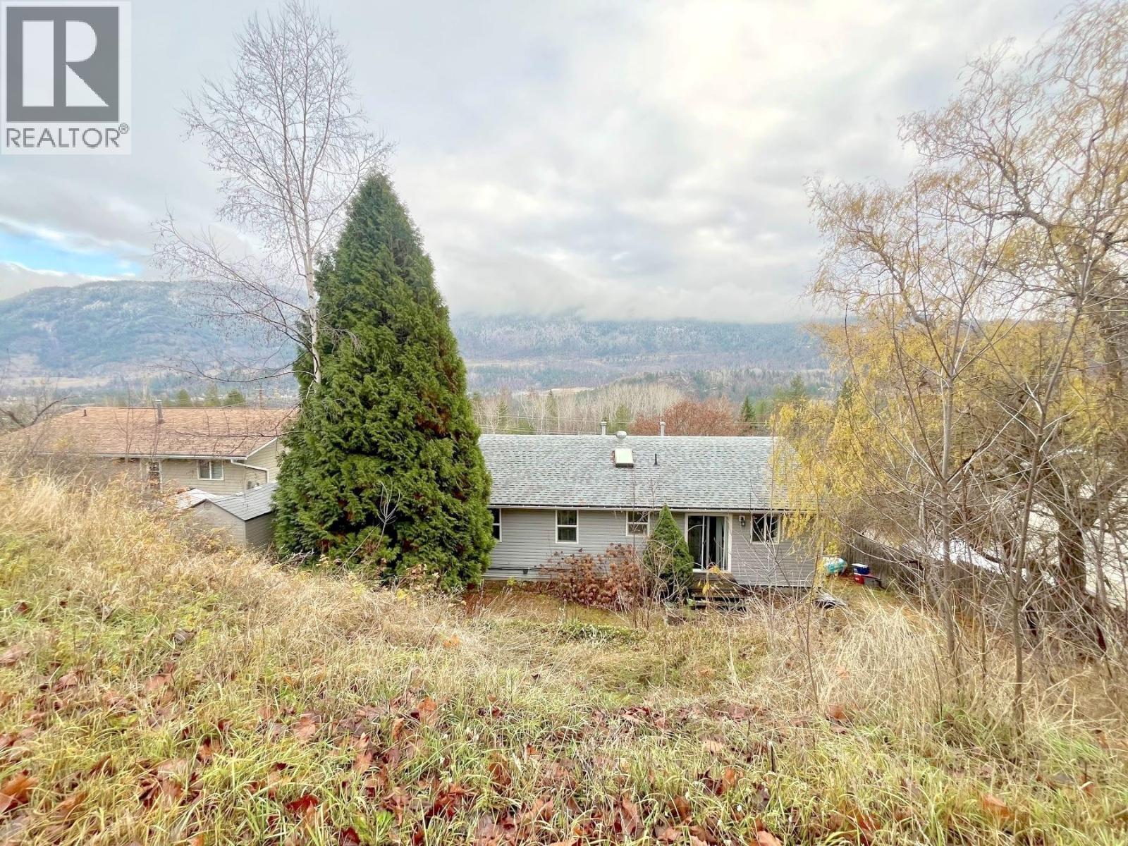 3703 9th Avenue, Castlegar, British Columbia  V1N 3T3 - Photo 22 - 10372538