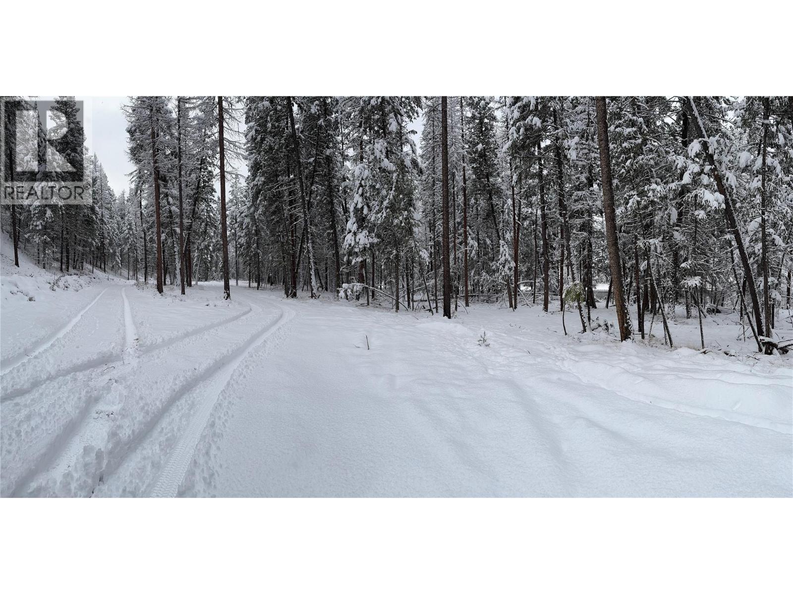 6145 Parnaby Road, Cranbrook, British Columbia  V1C 0C2 - Photo 10 - 10372250