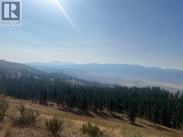 415 Mule Deer Drive Lot# 2, Osoyoos, British Columbia  V0H 1V6 - Photo 14 - 10372628