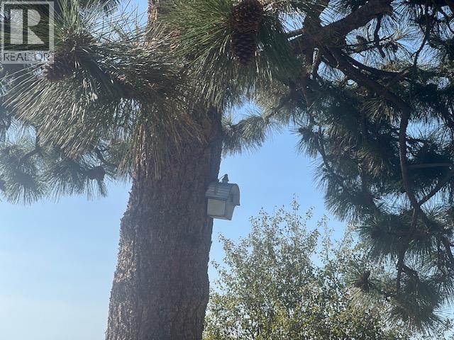 415 Mule Deer Drive Lot# 2, Osoyoos, British Columbia  V0H 1V6 - Photo 17 - 10372628