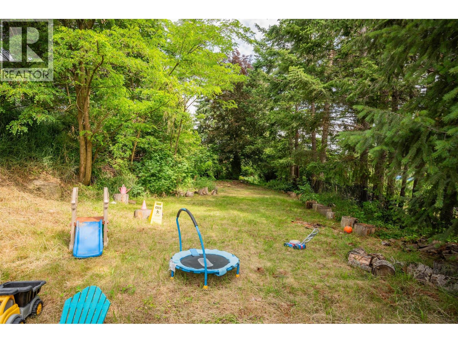 3209 5th Avenue, Castlegar, British Columbia  V1N 2V6 - Photo 76 - 10372708