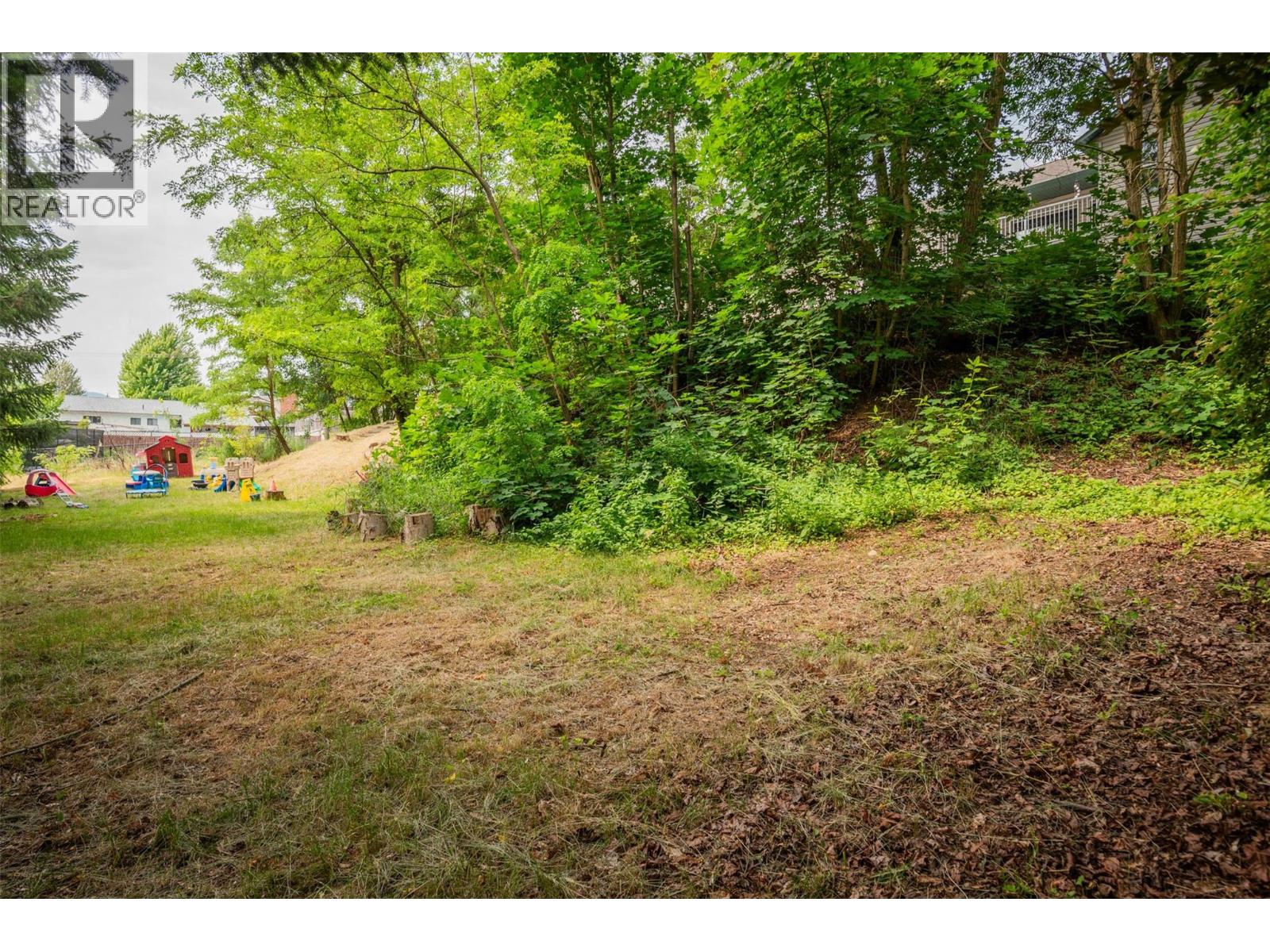 3209 5th Avenue, Castlegar, British Columbia  V1N 2V6 - Photo 77 - 10372708