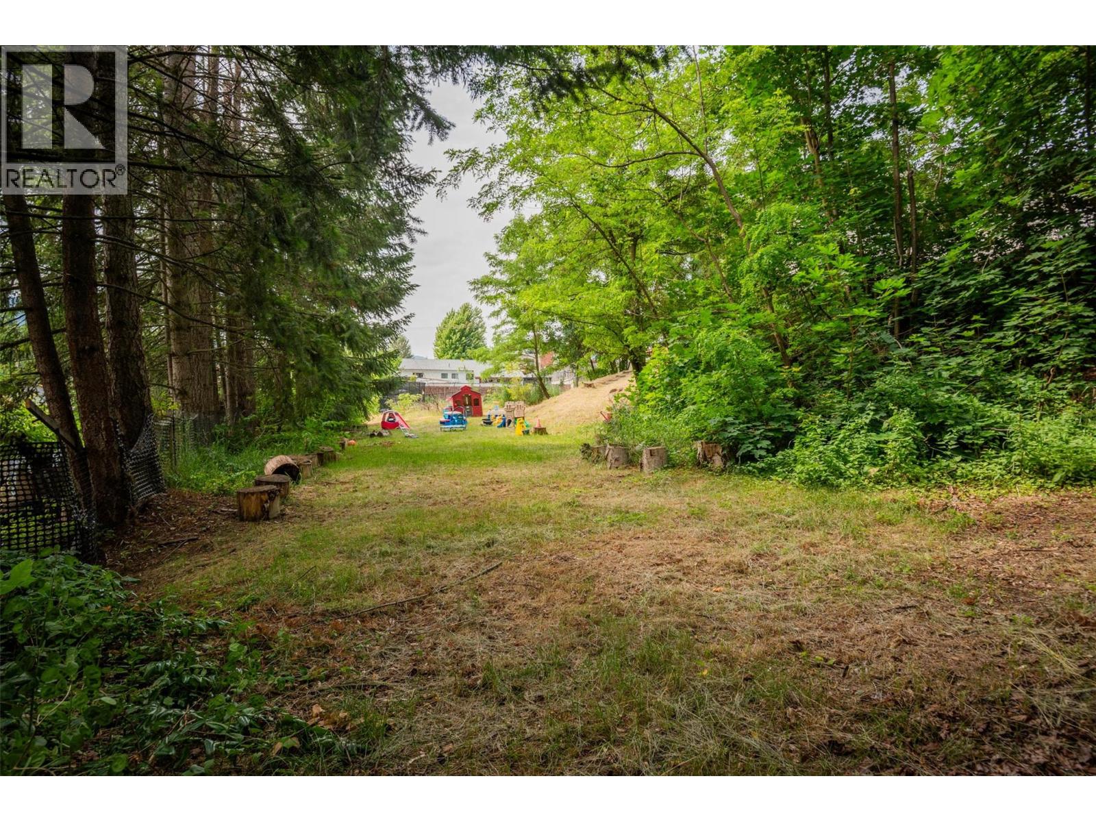 3209 5th Avenue, Castlegar, British Columbia  V1N 2V6 - Photo 78 - 10372708