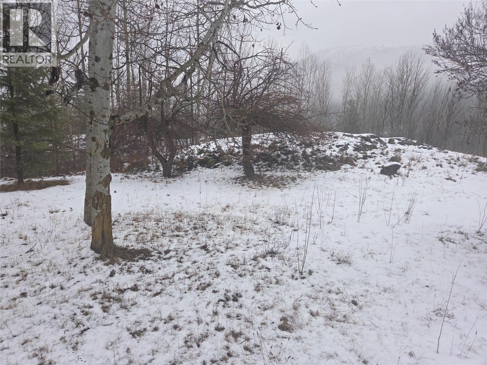 1381 3b Highway, Warfield, British Columbia  V1R 4L3 - Photo 27 - 10372814