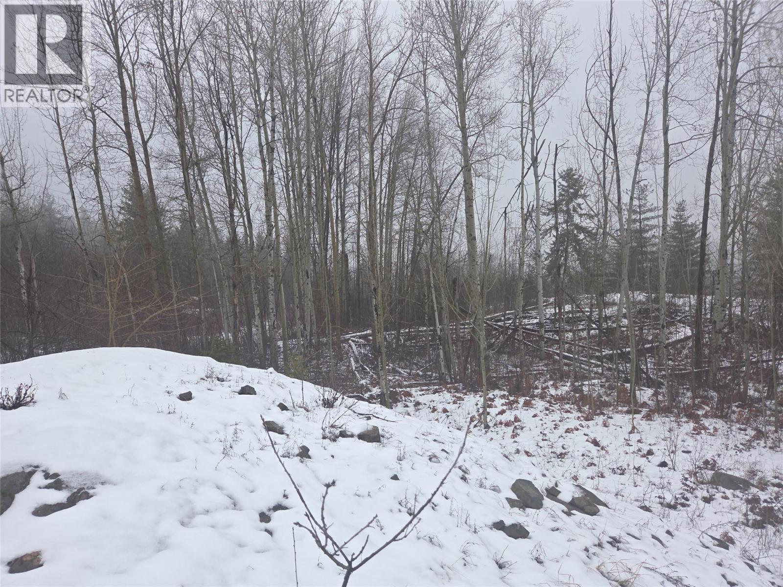 1381 3b Highway, Warfield, British Columbia  V1R 4L3 - Photo 30 - 10372814