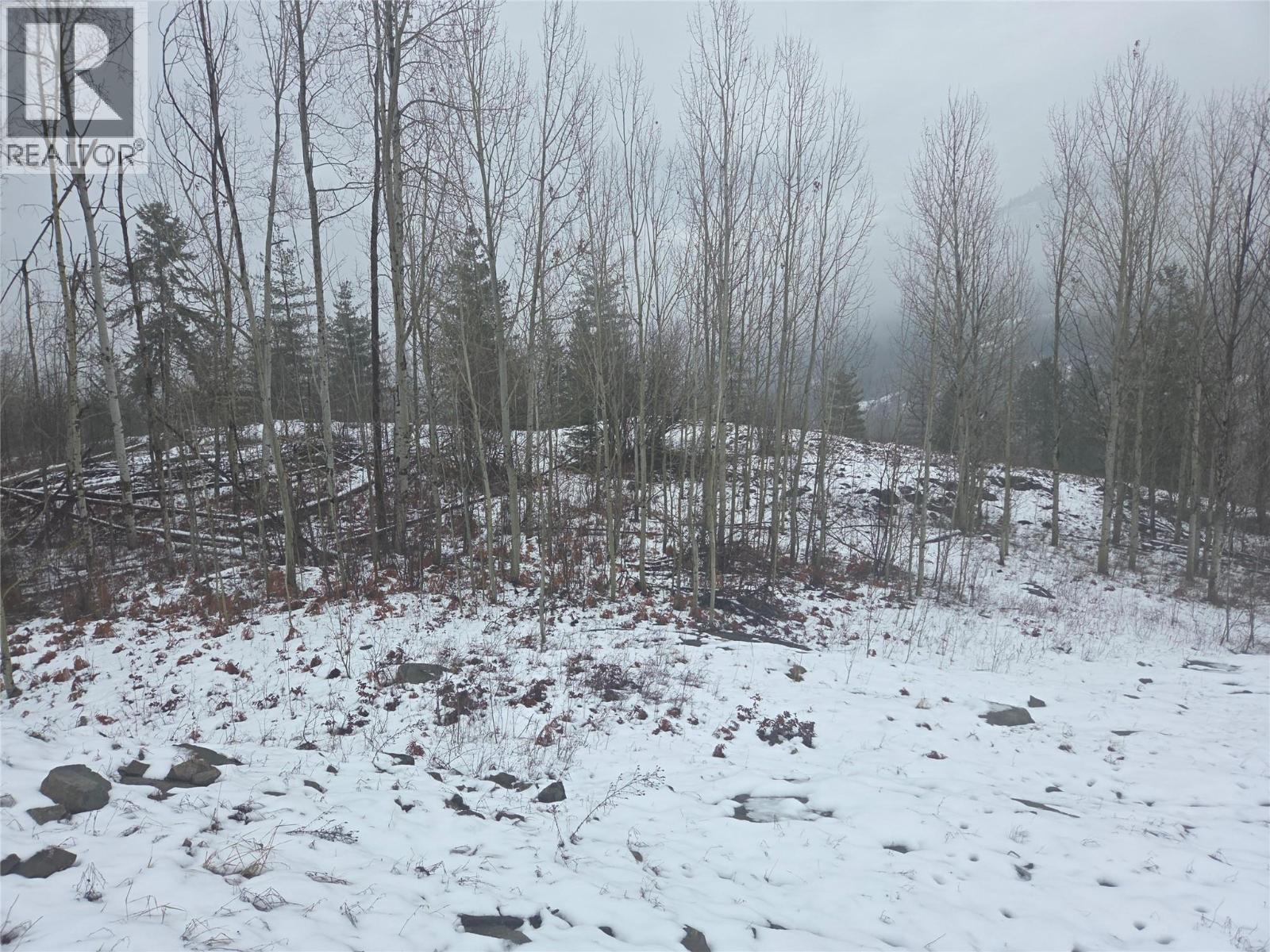 1381 3b Highway, Warfield, British Columbia  V1R 4L3 - Photo 31 - 10372814