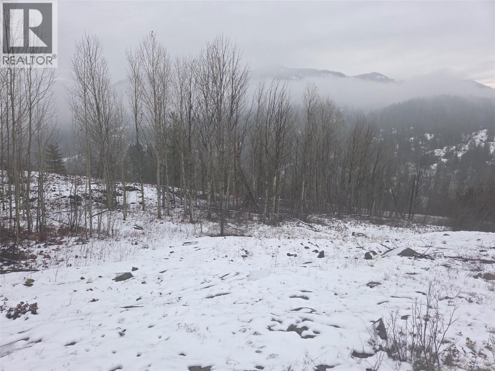 1381 3b Highway, Warfield, British Columbia  V1R 4L3 - Photo 32 - 10372814