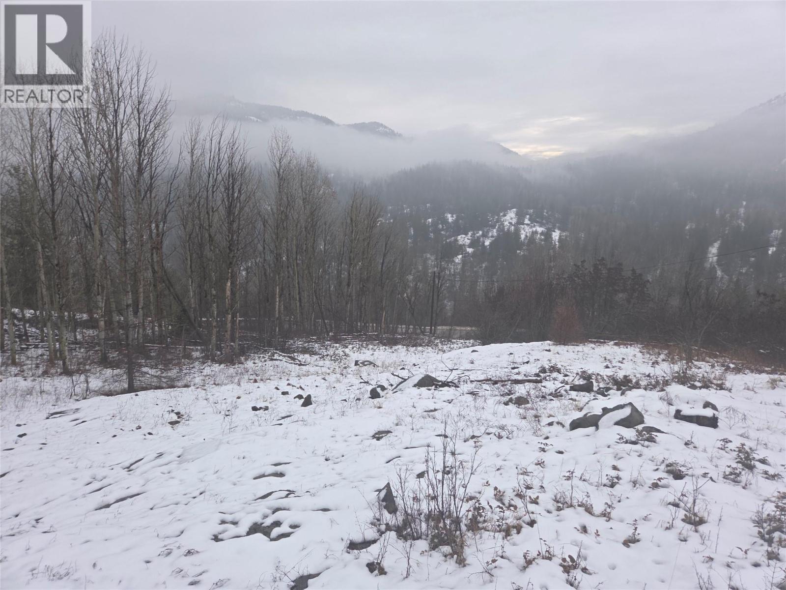 1381 3b Highway, Warfield, British Columbia  V1R 4L3 - Photo 33 - 10372814