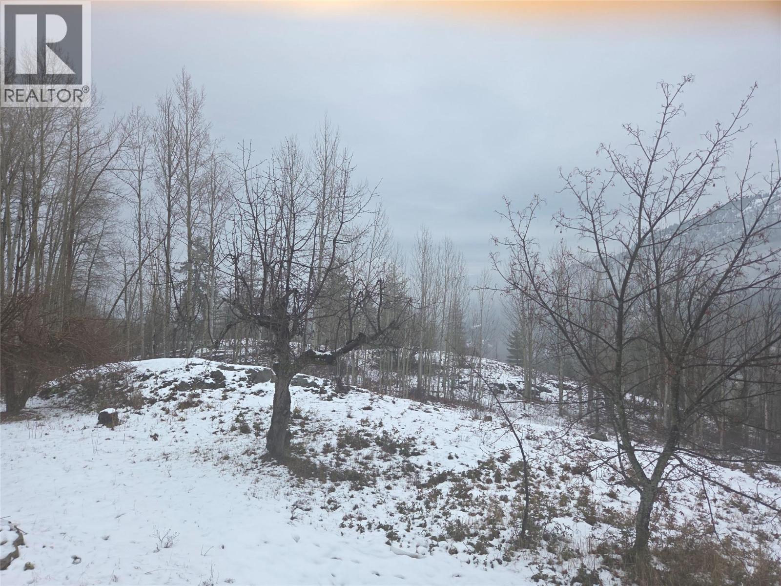 1381 3b Highway, Warfield, British Columbia  V1R 4L3 - Photo 44 - 10372814