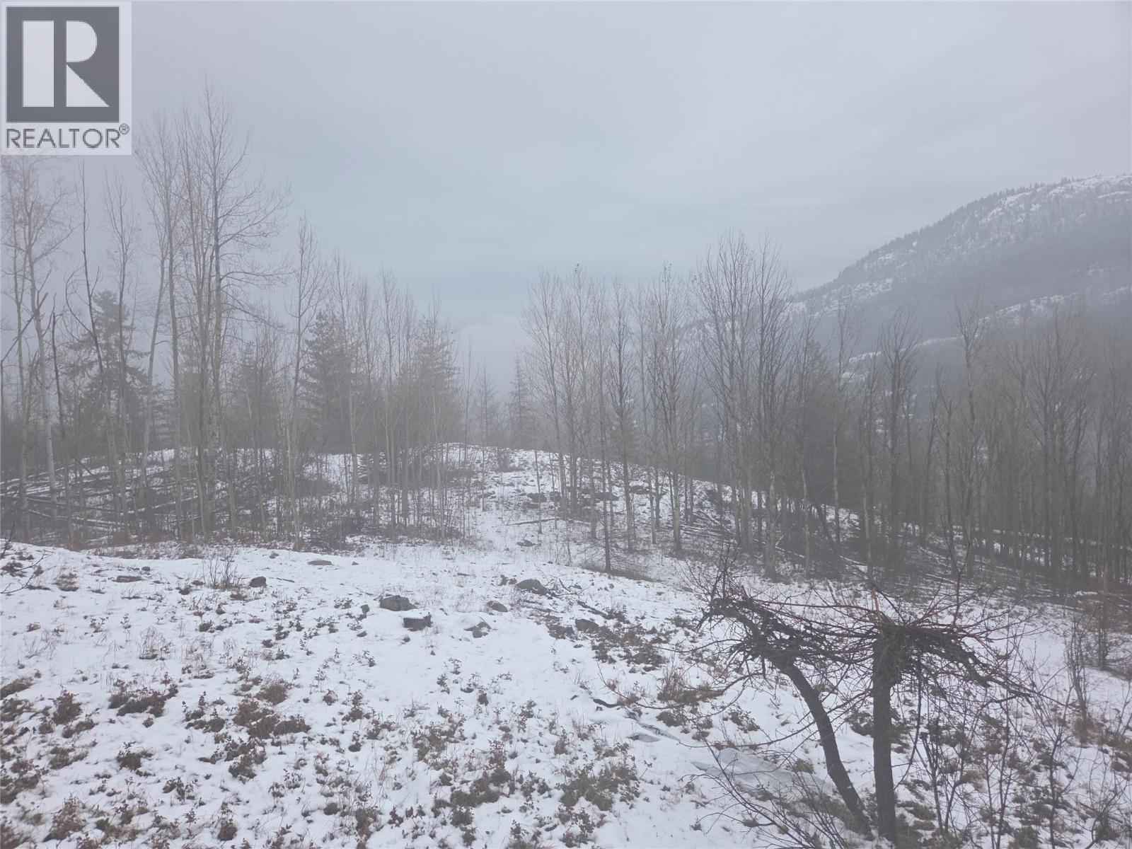 1381 3b Highway, Warfield, British Columbia  V1R 4L3 - Photo 58 - 10372814