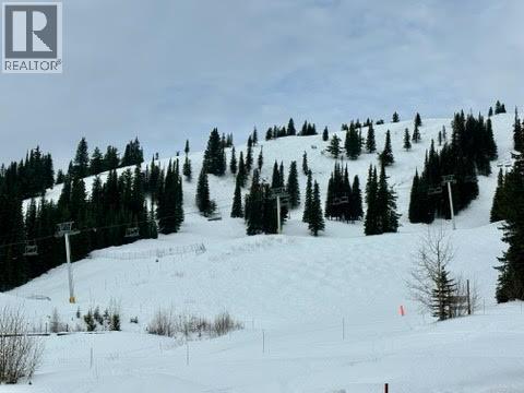 520 Arnica Lane, Silver Star, British Columbia  V1B 3M1 - Photo 10 - 10372596