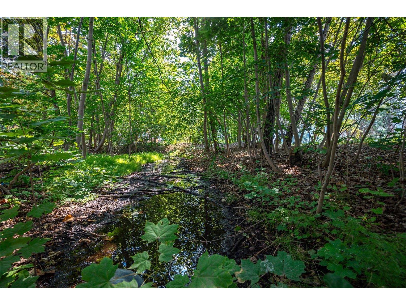 9310 Kalamalka Road, Coldstream, British Columbia  V1B 1L1 - Photo 11 - 10372923