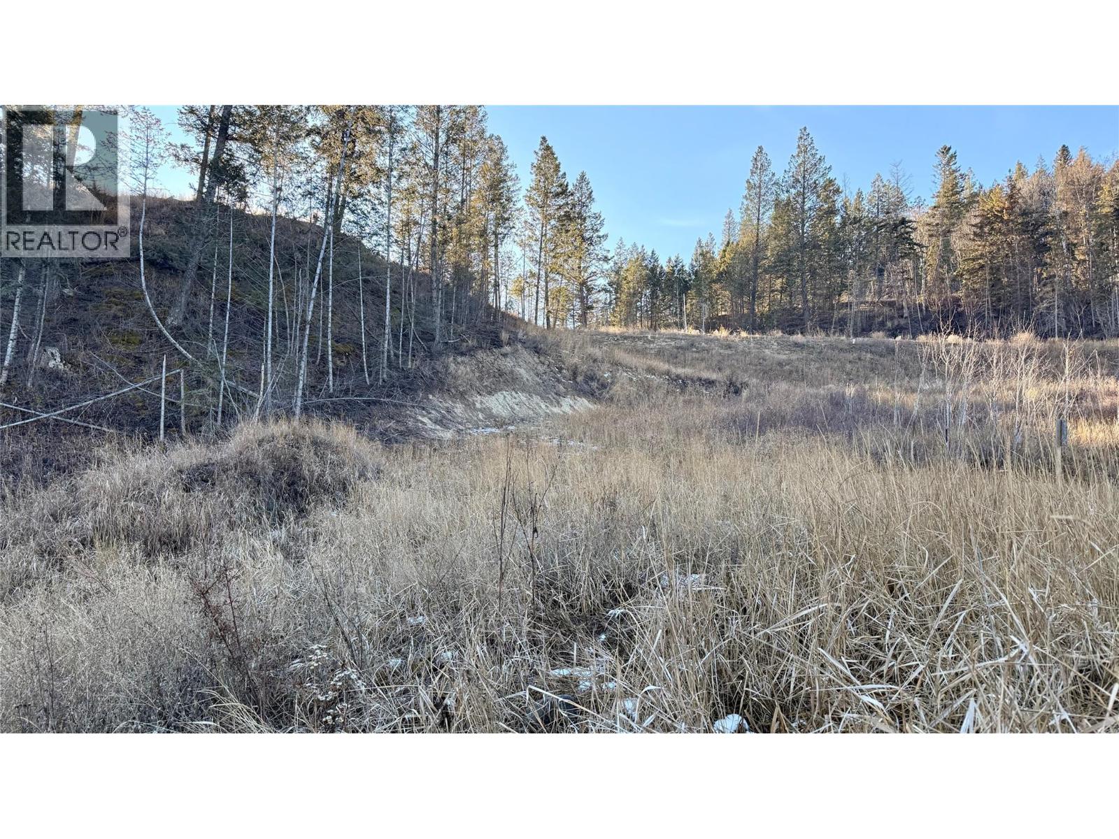 Columbia Lake Road Lot# 17, Fairmont Hot Springs, British Columbia  V0B 1L2 - Photo 14 - 10372775