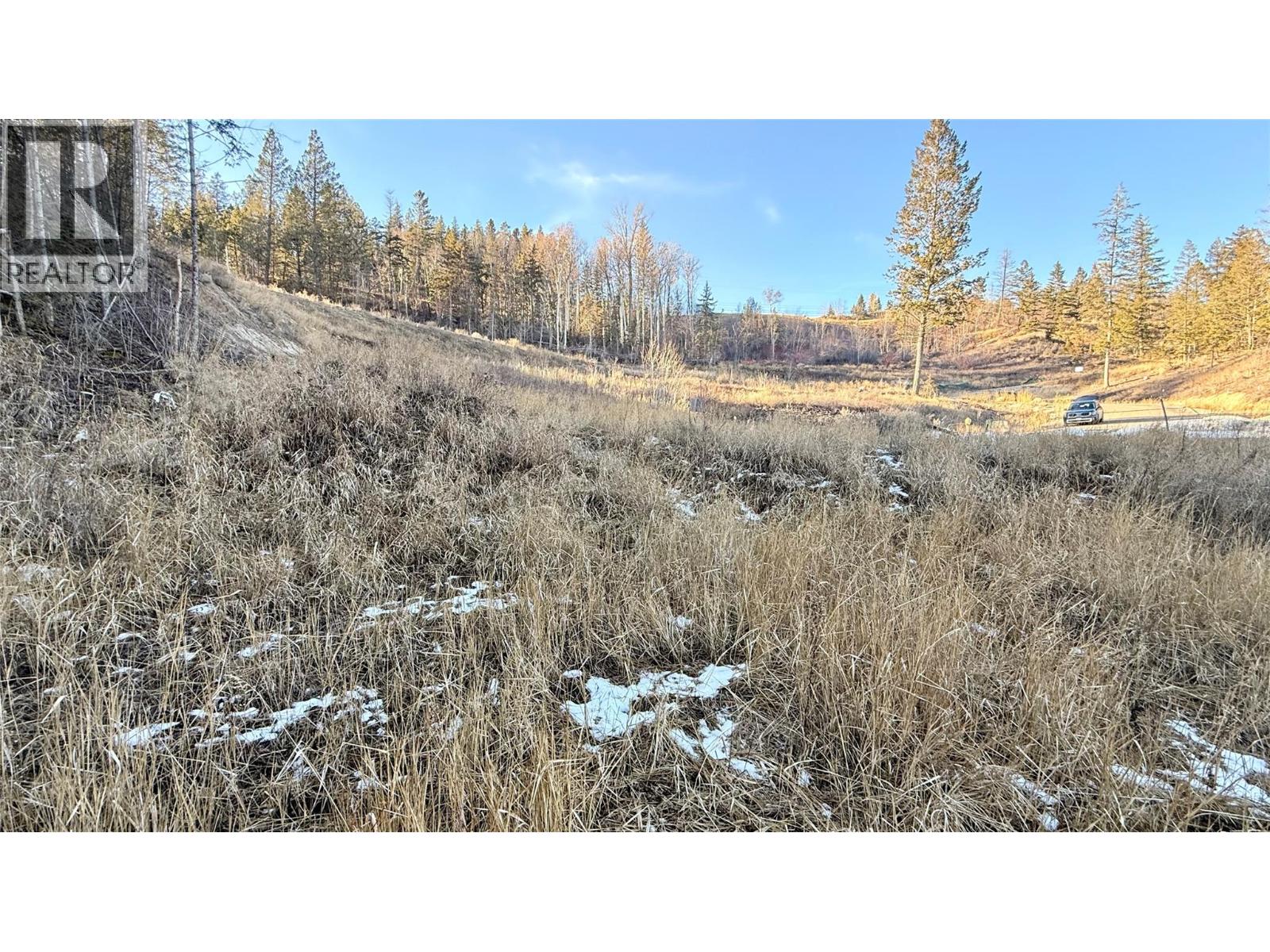 Columbia Lake Road Lot# 17, Fairmont Hot Springs, British Columbia  V0B 1L2 - Photo 25 - 10372775