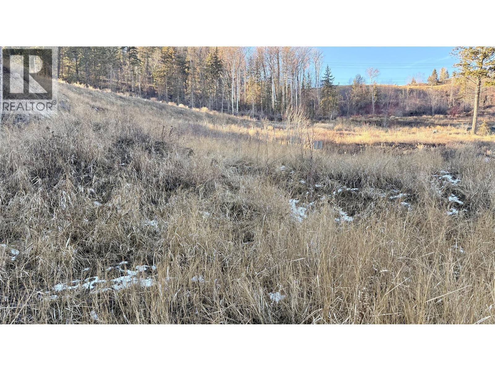 Columbia Lake Road Lot# 17, Fairmont Hot Springs, British Columbia  V0B 1L2 - Photo 26 - 10372775
