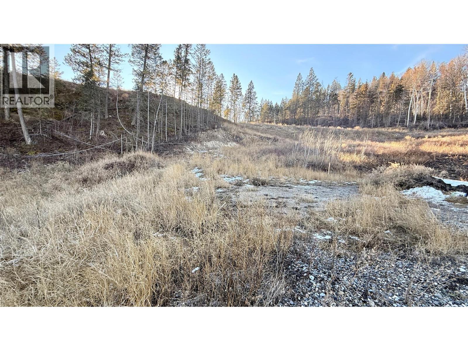 Columbia Lake Road Lot# 17, Fairmont Hot Springs, British Columbia  V0B 1L2 - Photo 27 - 10372775
