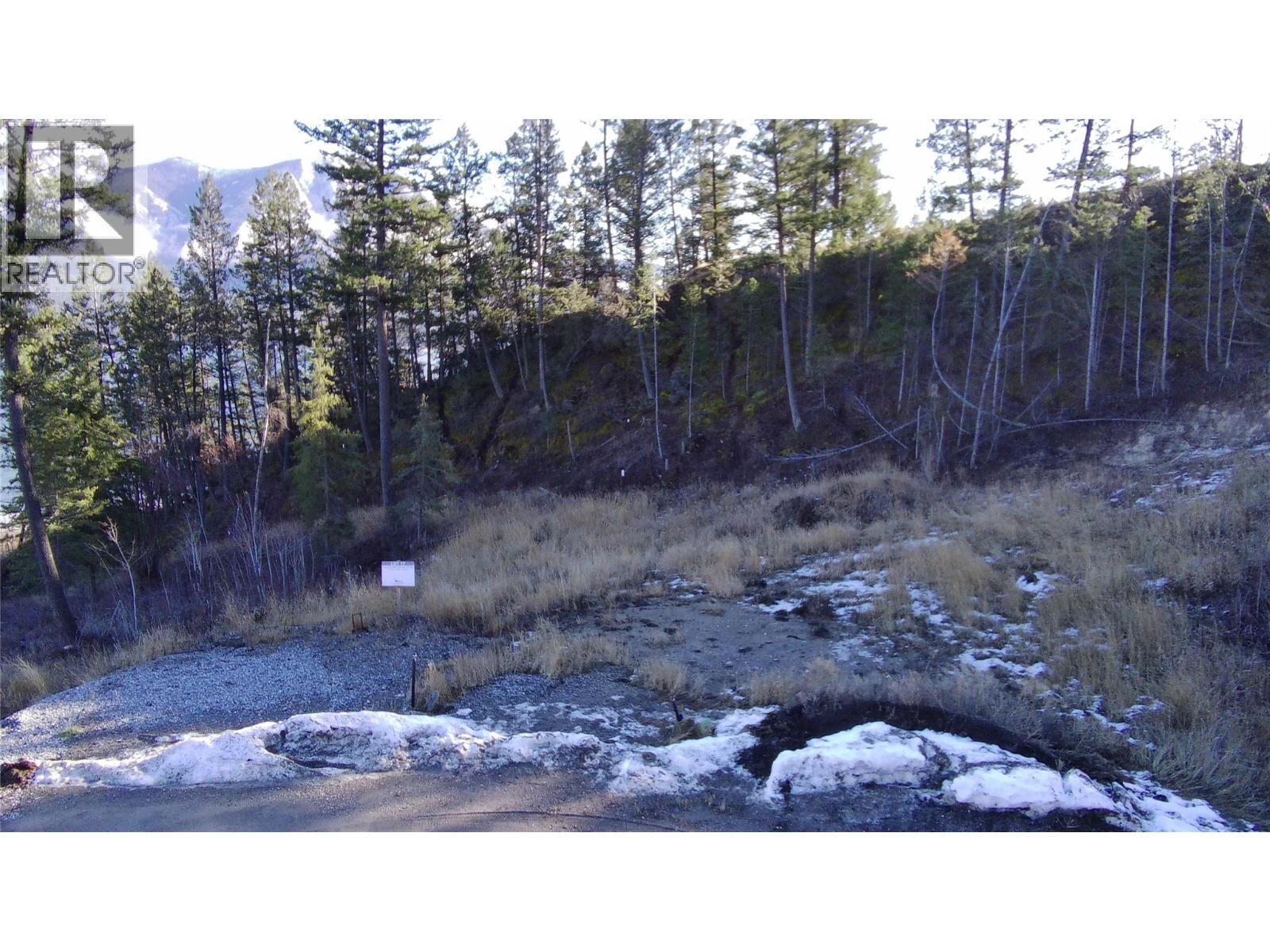 Columbia Lake Road Lot# 17, Fairmont Hot Springs, British Columbia  V0B 1L2 - Photo 33 - 10372775