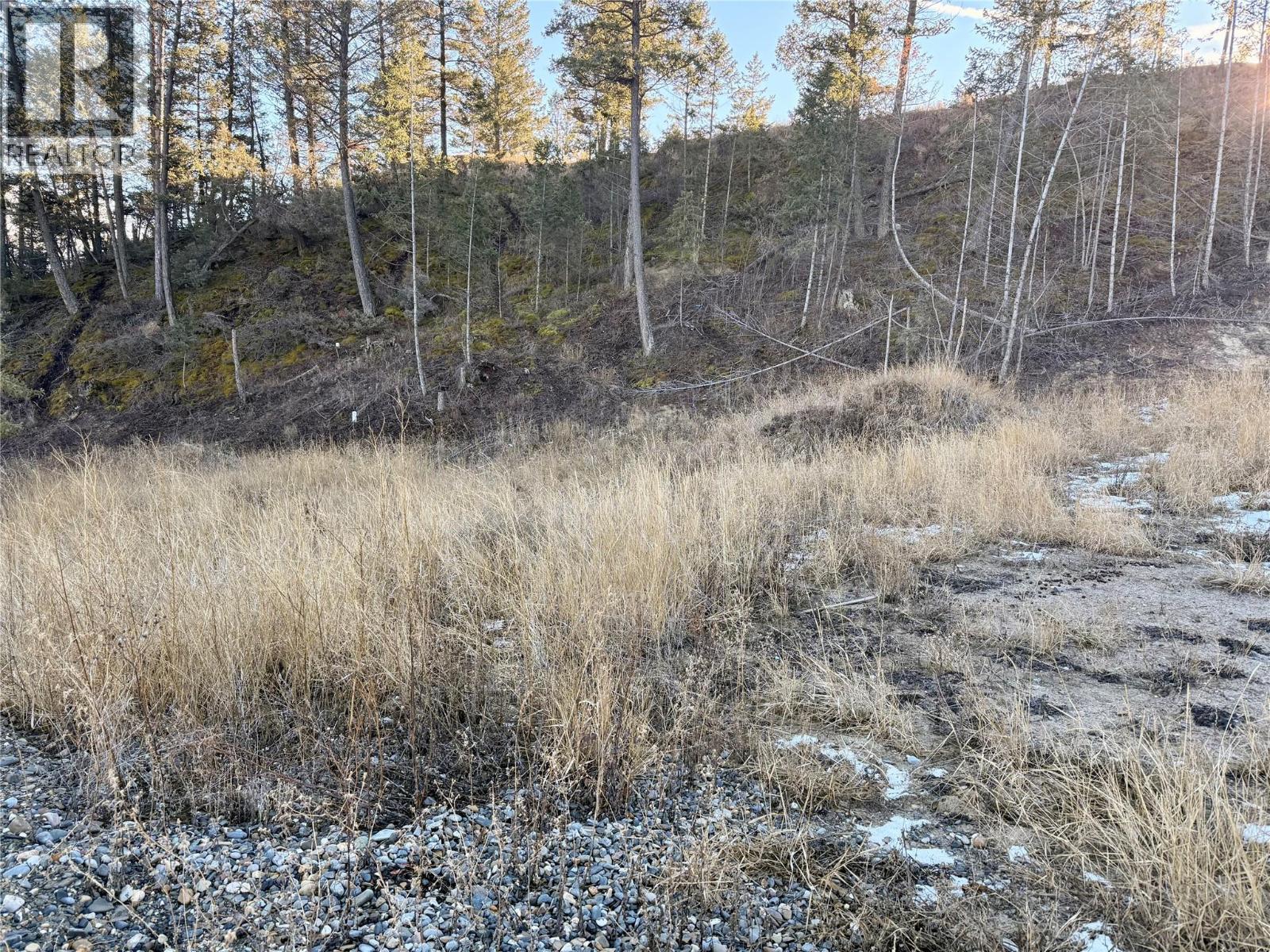 Columbia Lake Road Lot# 17, Fairmont Hot Springs, British Columbia  V0B 1L2 - Photo 6 - 10372775