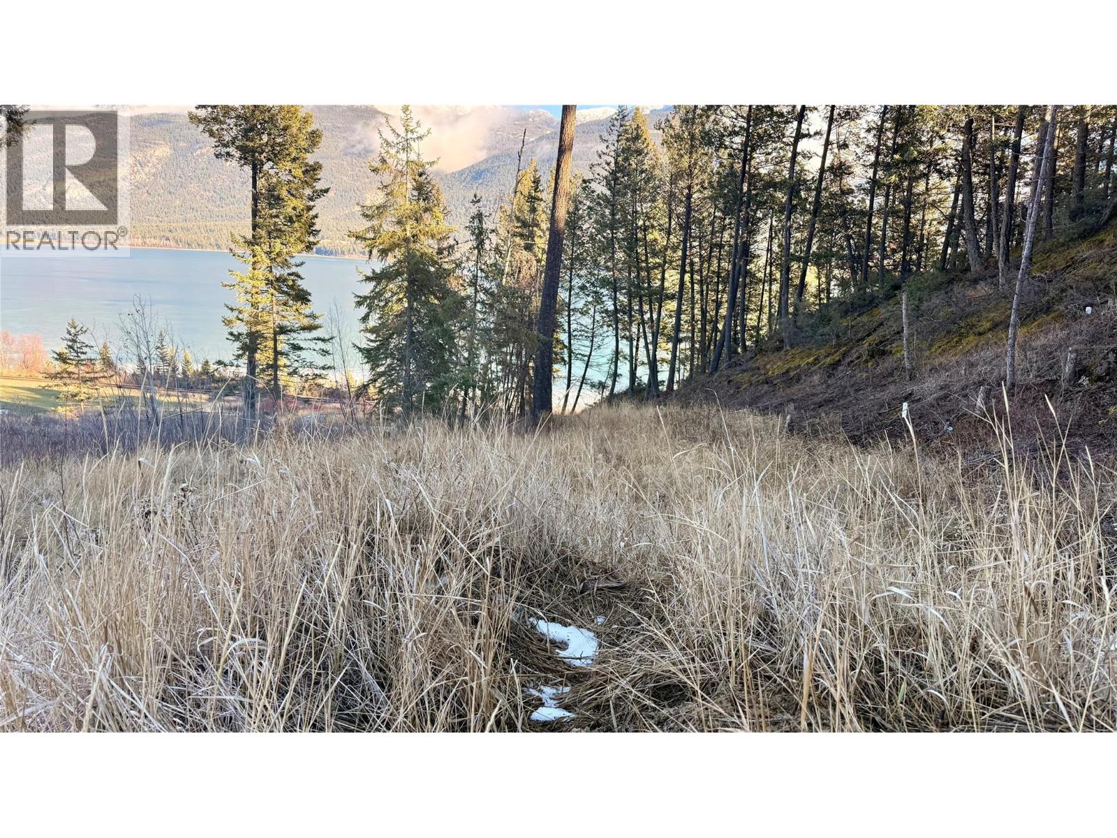 Columbia Lake Road Lot# 17, Fairmont Hot Springs, British Columbia  V0B 1L2 - Photo 8 - 10372775