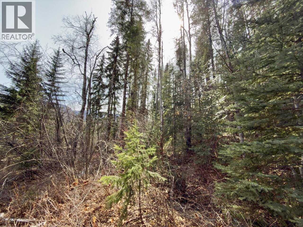 Km 53 Christian Valley Road Lot# 1, Westbridge, British Columbia  V0H 2B0 - Photo 38 - 10372925
