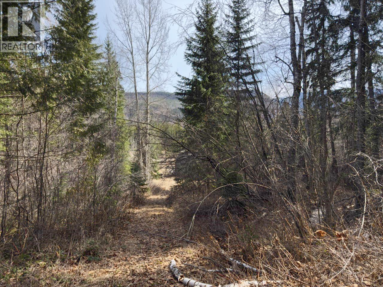 Km 53 Christian Valley Road Lot# 1, Westbridge, British Columbia  V0H 2B0 - Photo 39 - 10372925