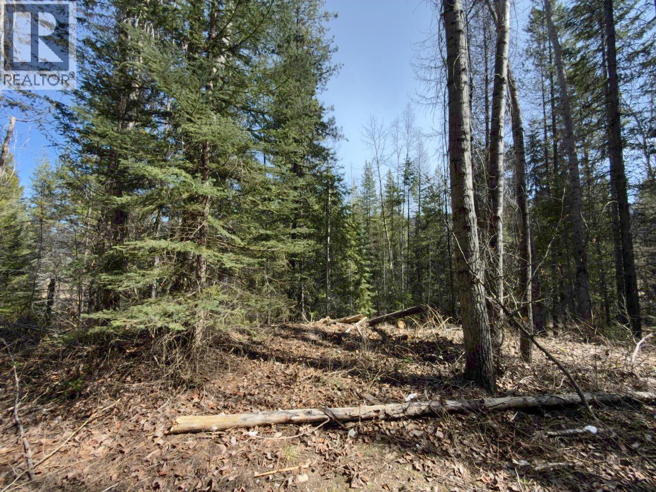 Km 53 Christian Valley Road Lot# 2, Westbridge, British Columbia  V0H 2B0 - Photo 18 - 10373000