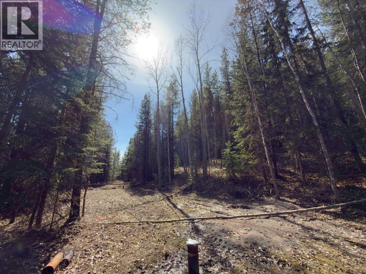 Km 53 Christian Valley Road Lot# 2, Westbridge, British Columbia  V0H 2B0 - Photo 2 - 10373000