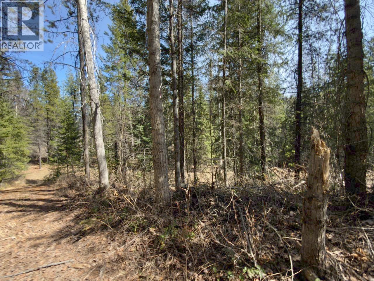Km 53 Christian Valley Road Lot# 2, Westbridge, British Columbia  V0H 2B0 - Photo 21 - 10373000