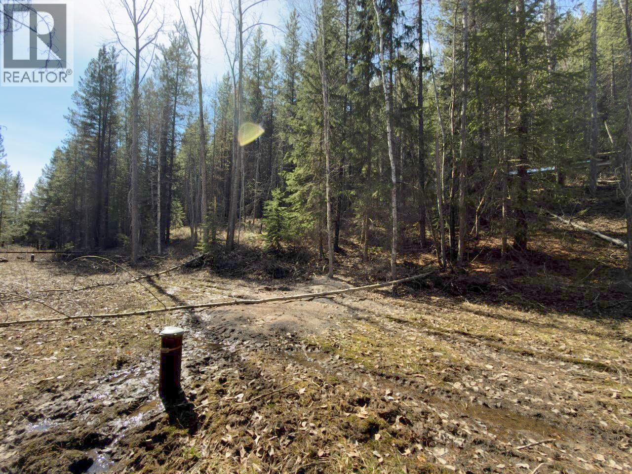 Km 53 Christian Valley Road Lot# 2, Westbridge, British Columbia  V0H 2B0 - Photo 27 - 10373000