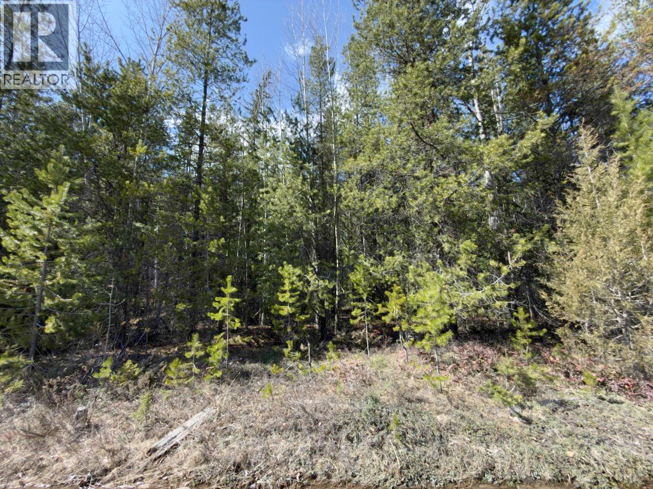 Km 53 Christian Valley Road Lot# 2, Westbridge, British Columbia  V0H 2B0 - Photo 30 - 10373000