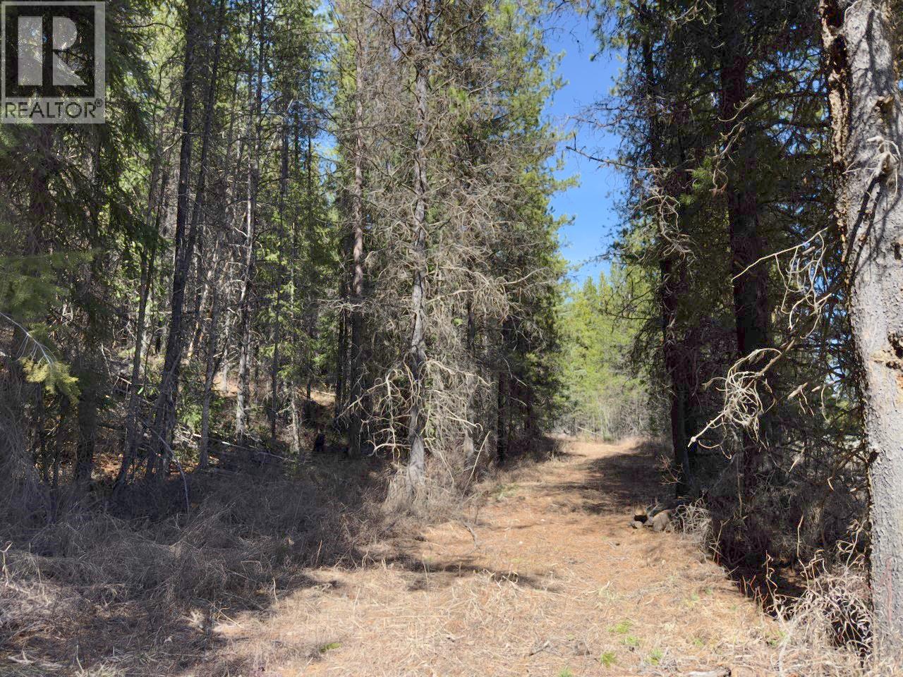 Km 53 Christian Valley Road Lot# 2, Westbridge, British Columbia  V0H 2B0 - Photo 31 - 10373000