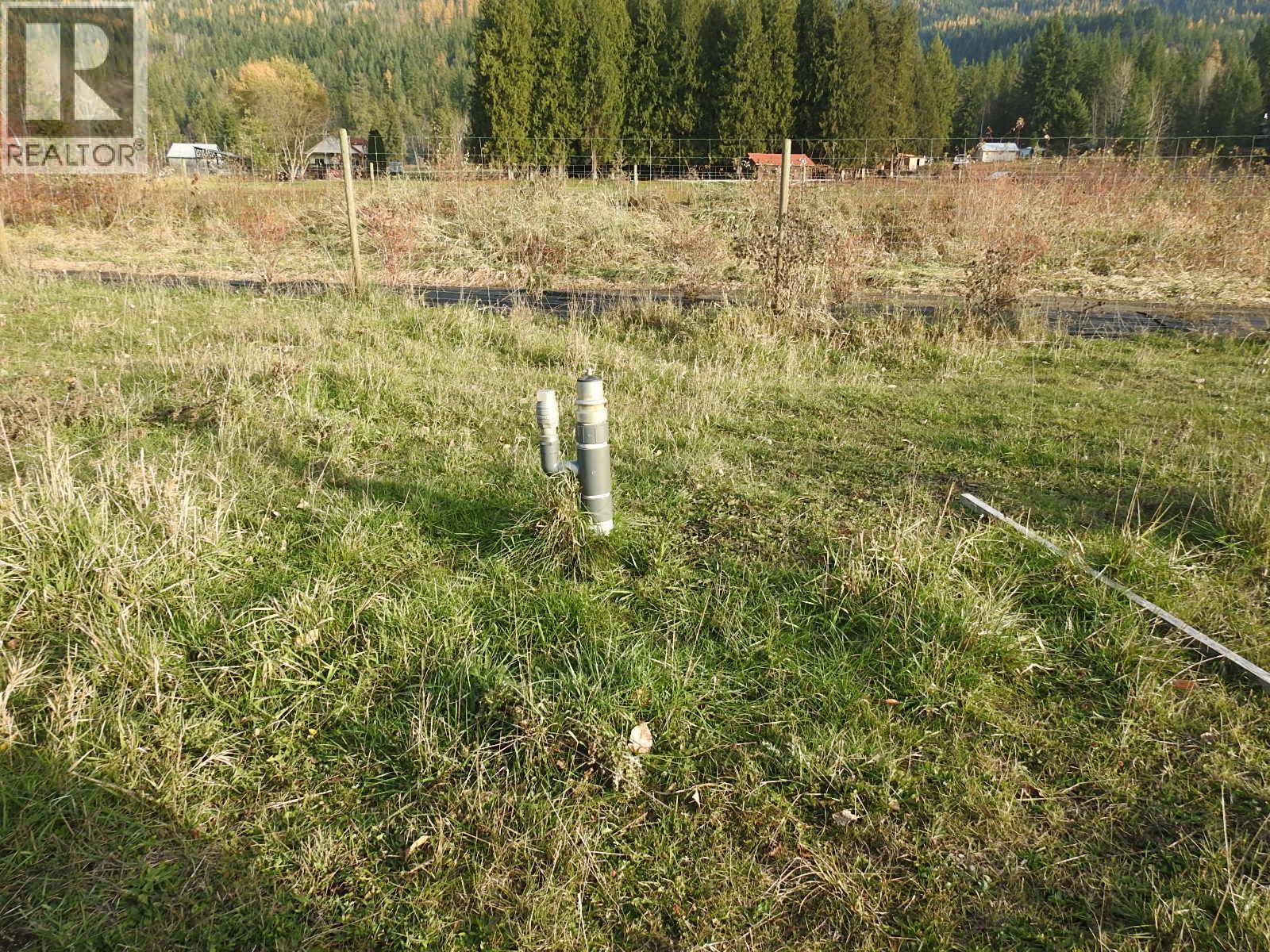 110 Parsons Road, Mara, British Columbia  V0E 2K0 - Photo 11 - 10372996