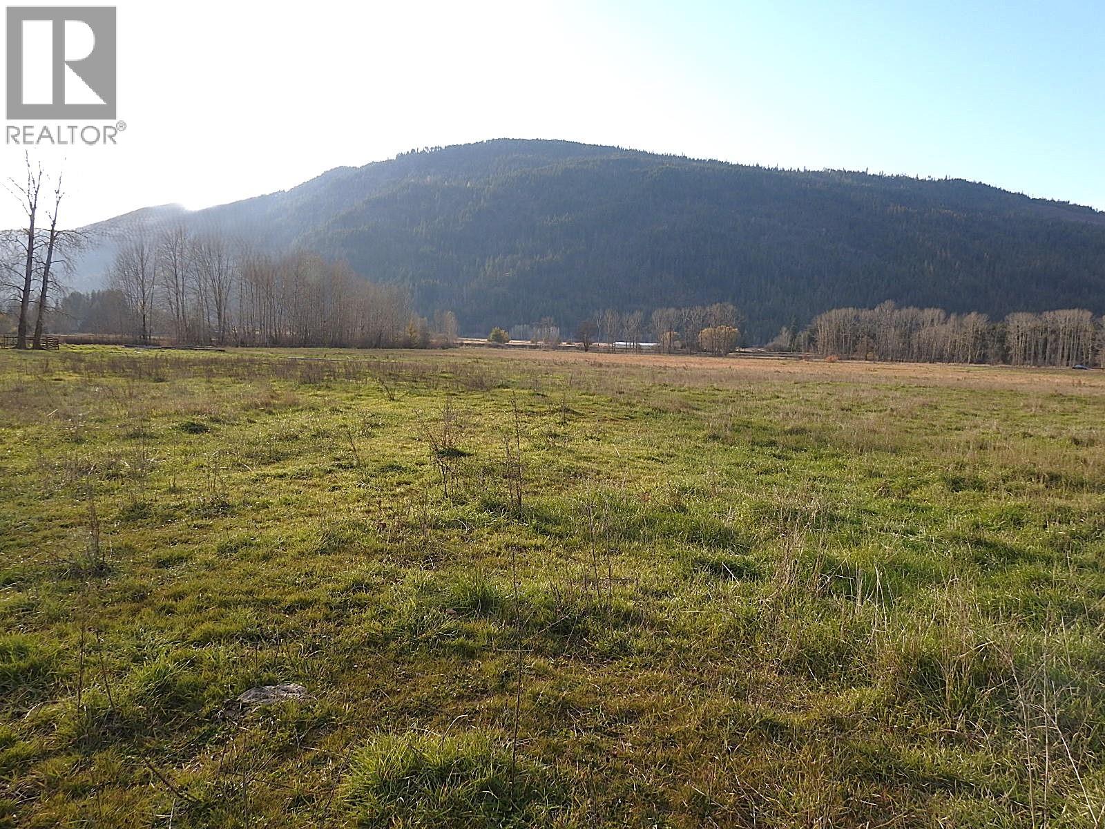 110 Parsons Road, Mara, British Columbia  V0E 2K0 - Photo 13 - 10372996