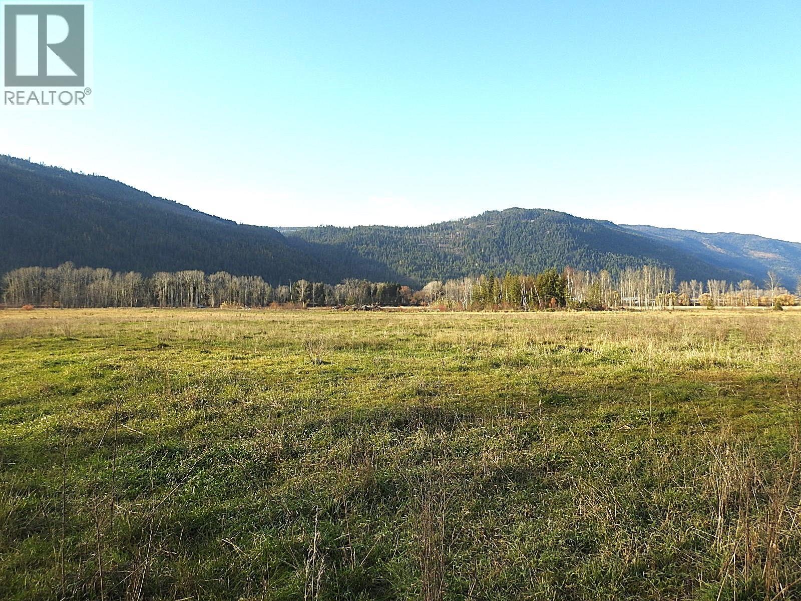 110 Parsons Road, Mara, British Columbia  V0E 2K0 - Photo 14 - 10372996