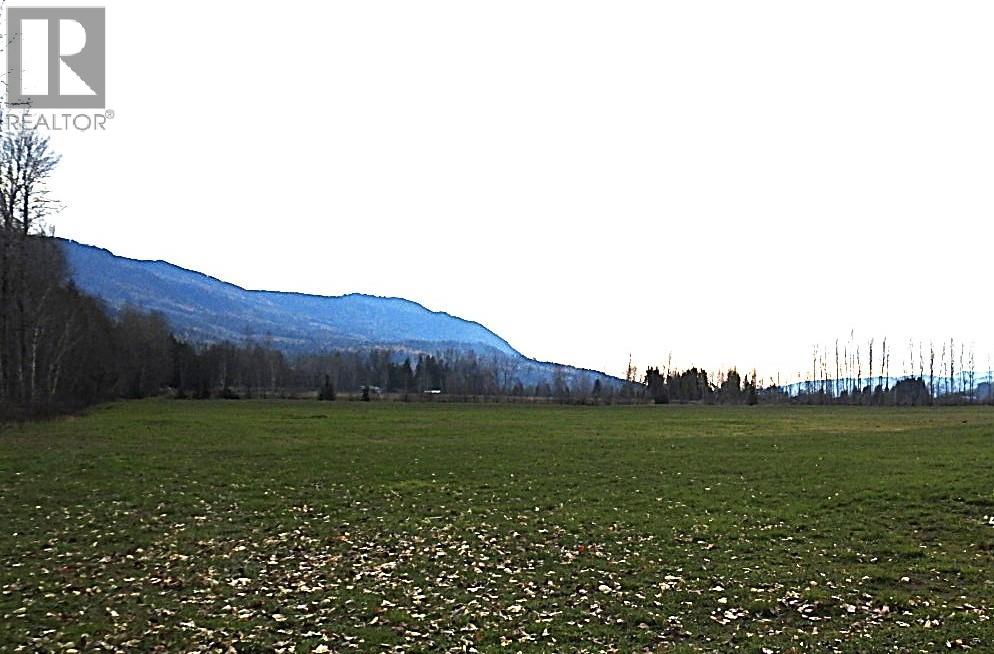 110 Parsons Road, Mara, British Columbia  V0E 2K0 - Photo 15 - 10372996