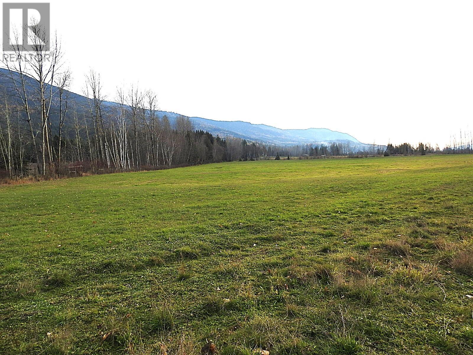 110 Parsons Road, Mara, British Columbia  V0E 2K0 - Photo 3 - 10372996
