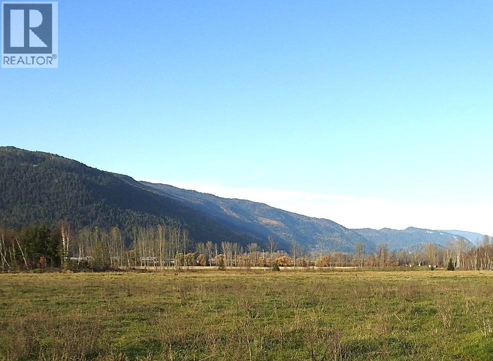 110 Parsons Road, Mara, British Columbia  V0E 2K0 - Photo 4 - 10372996