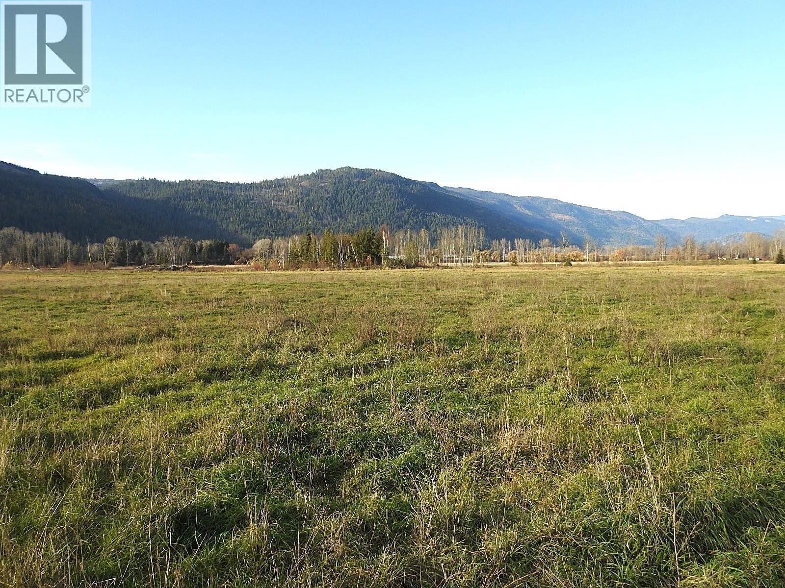 110 Parsons Road, Mara, British Columbia  V0E 2K0 - Photo 7 - 10372996