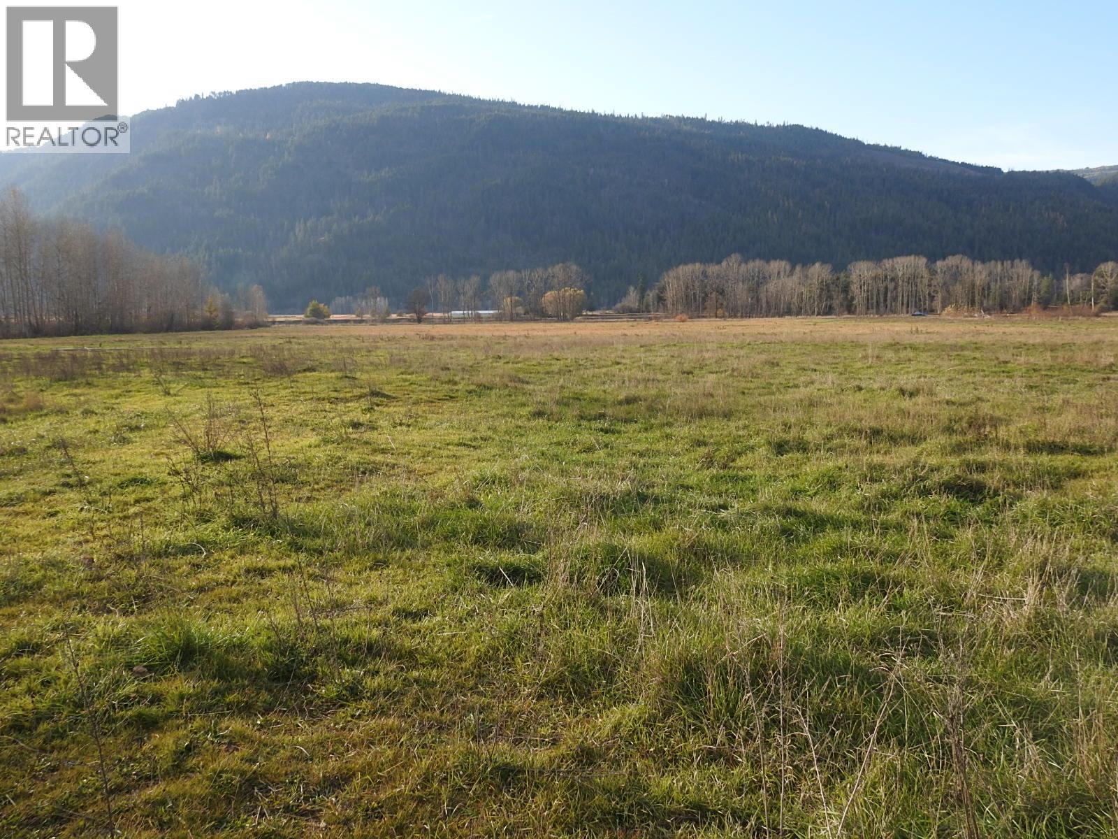110 Parsons Road, Mara, British Columbia  V0E 2K0 - Photo 9 - 10372996