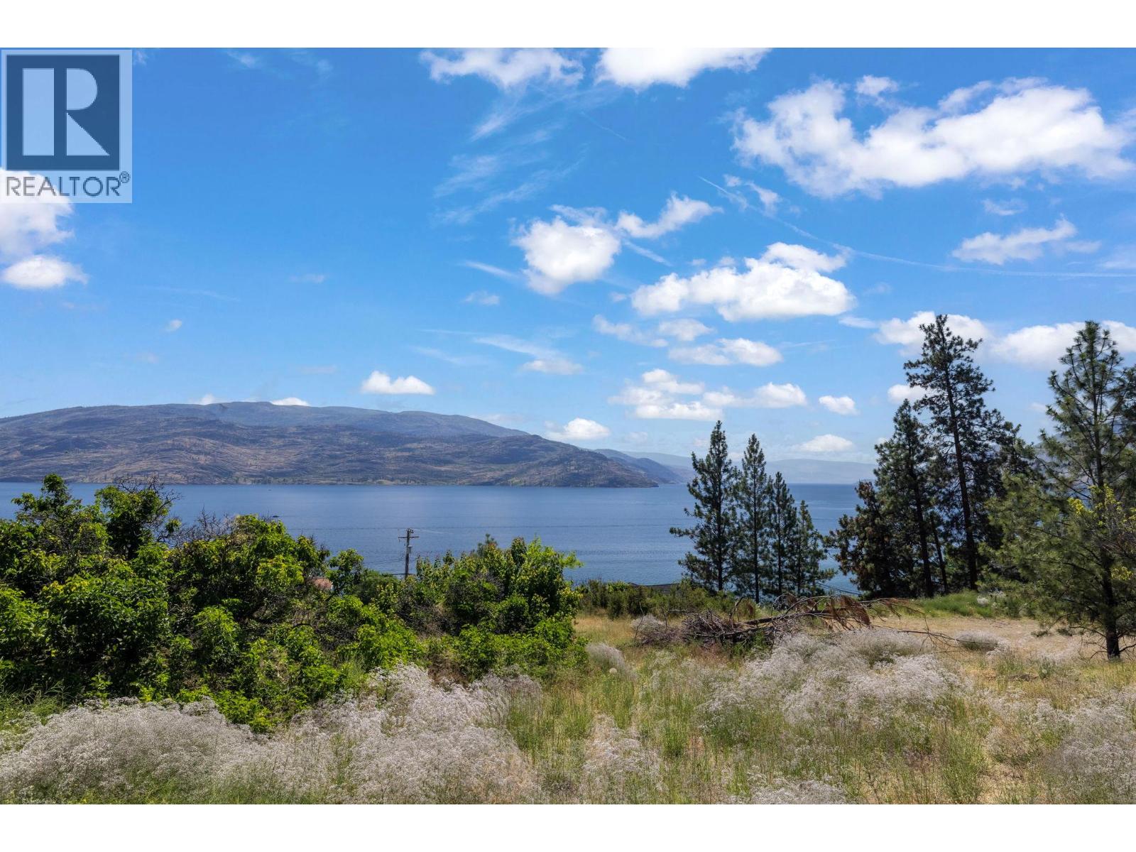 6446 Renfrew Road, Peachland, British Columbia  V0H 1X7 - Photo 25 - 10372989